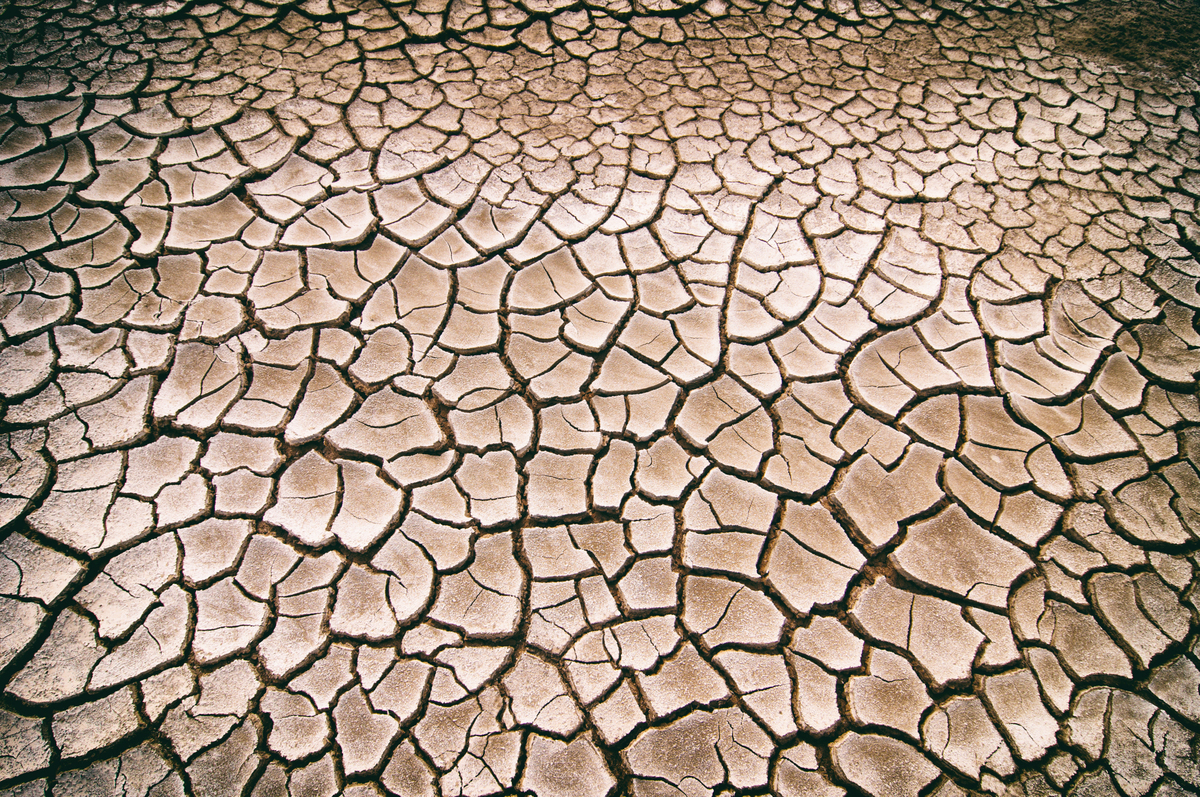 closeup of cracked skin under a microscope